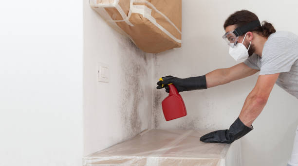 Professional Mold Testing technician working in Woburn, MA