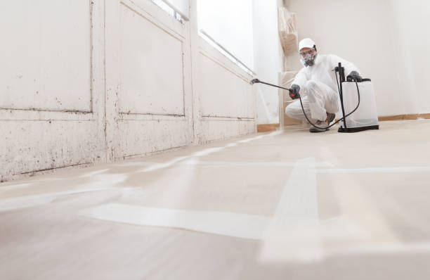 24/7 Emergency Mold Testing experts in Woburn, MA